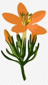 Education for All logo