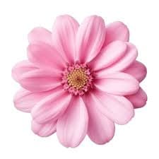 Wildlife Conservation logo